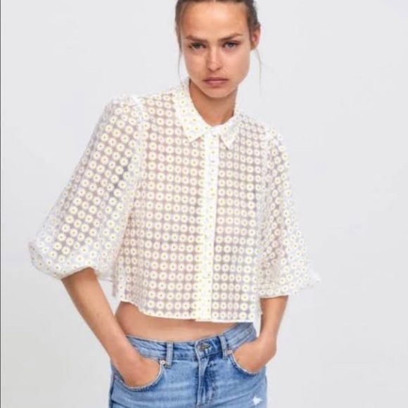 Zara Daisy Cropped Blouse - Picture 4 of 7